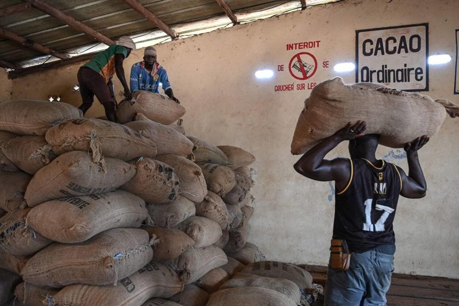 Cocoa Sourcing & Storage
